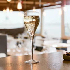 Flûte à champagne 16 cl Brio