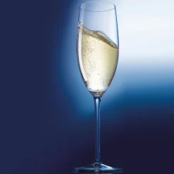 Flûte 24 cl Menades
