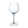 Verre à pied 47 cl Cabernet Vins Jeunes